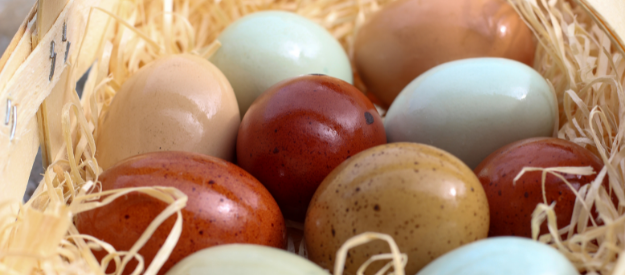 Easter Eggs with Natural Colours