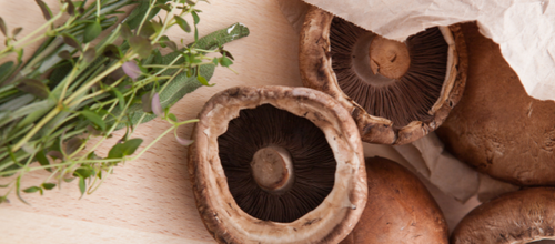Snelle recepten met paddenstoelen en zwammen