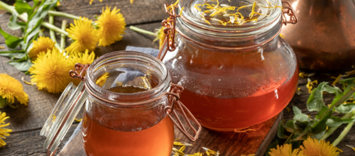 Making Dandelion Honey At Home