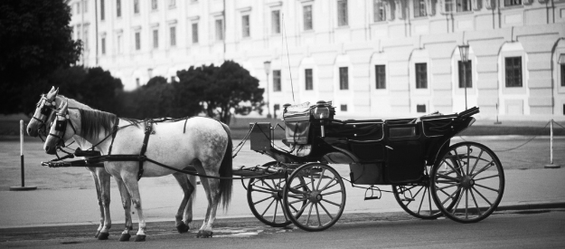 Celebrità austriache nella storia e souvenir dall'Austria