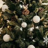 Christmas Trees for the Advent Season 