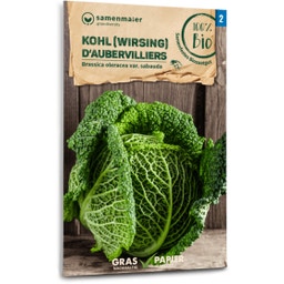 Samen Maier Organic Cabbage 