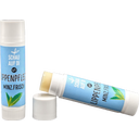 SCHAU AUF Di Minz.Frisch Organic Lip Balm  - 6 ml