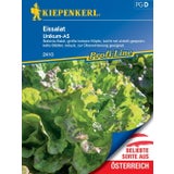 Solata Kagraner Sommer 2