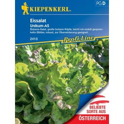 Kopfsalat Kagraner Sommer 2 - 1 Pkg
