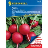 Redkev "Riesen von Aspern"