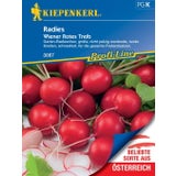 Redkvica "Wiener Rotes Treib"