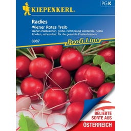 Radies Wiener Rotes Treib - 1 Pkg