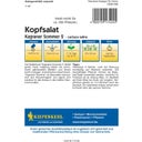 Kopfsalat Kagraner Sommer 2