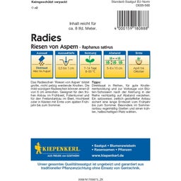 Radies Riesen von Aspern