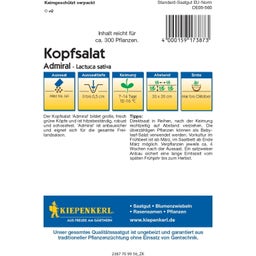 Laitue Pommée Admiral