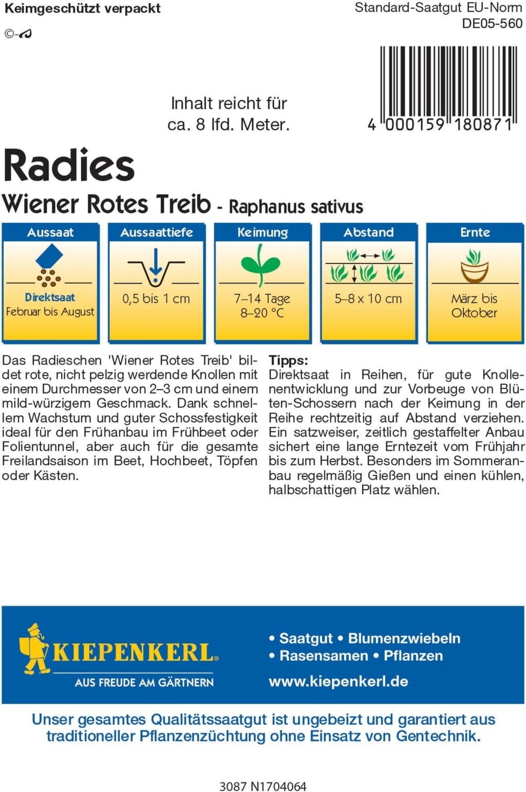 Radies Wiener Rotes Treib