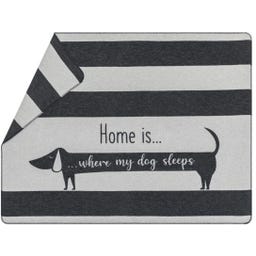 David Fussenegger Pet Blanket 