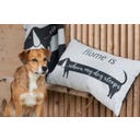 David Fussenegger Pet Blanket 