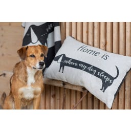 David Fussenegger Pet Blanket 