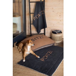 David Fussenegger Pet Blanket 