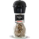 KOTÁNYI Pfeffer weiß ganz