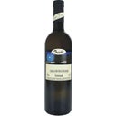 Weingut Triebl Grauburgunder 2024 - 0,75 l