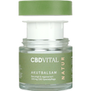 CBD VITAL Acute Balsem - 50 ml