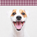 Hundejause Paski fileta z kurczaka