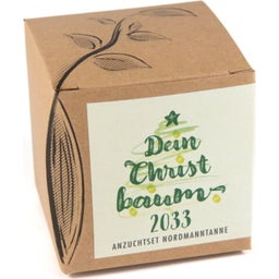 naturkraftwerk Zestaw do uprawy Twoja choinka 2029 - 1 Zestaw