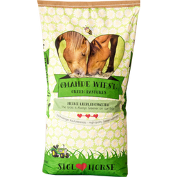 Siglhorse Green Pastures