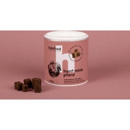 Mini Récompenses au Cheval et au Chanvre - Pour Chiens - 90 g