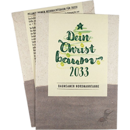 Il tuo Albero di Natale - Semi di Abete del Caucaso - 1 conf.