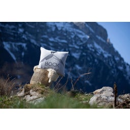 David Fussenegger SILVRETTA poszewka na poduszkę 