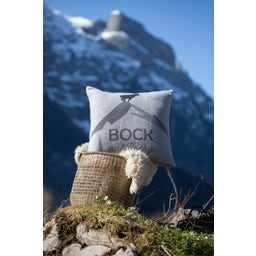 David Fussenegger SILVRETTA poszewka na poduszkę 