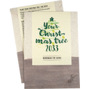 Your Christmas-Tree - Graines de Sapin Nordmann - 1 sachet