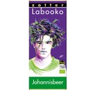 Zotter Schokoladen Organic Labooko Currant - 70 g