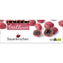 Zotter Schokoladen Bio Balleros Sauerkirschen - 100 g