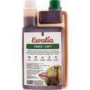 Ewalia Succo Vermifugo - 1 L