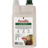 Ewalia Electrolyte