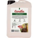 Ewalia Electrolyte - 3 L