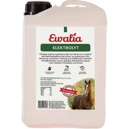 Ewalia Electrolyte - 3 L