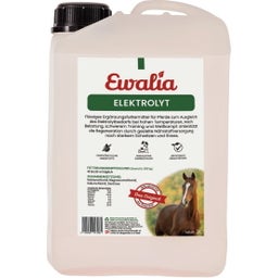 Ewalia Electrolyte - 3 L