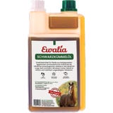 Ewalia Black Cumin Oil for Horses