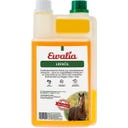 Ewalia Olio di Lino - 1 L