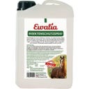Ewalia Spray przeciw owadom - 3 l