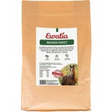 Ewalia Forza Plus