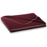 Steiner 1888 Coperta Alina