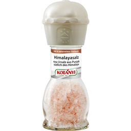 KOTÁNYI Salz aus dem Himalaya Vorland