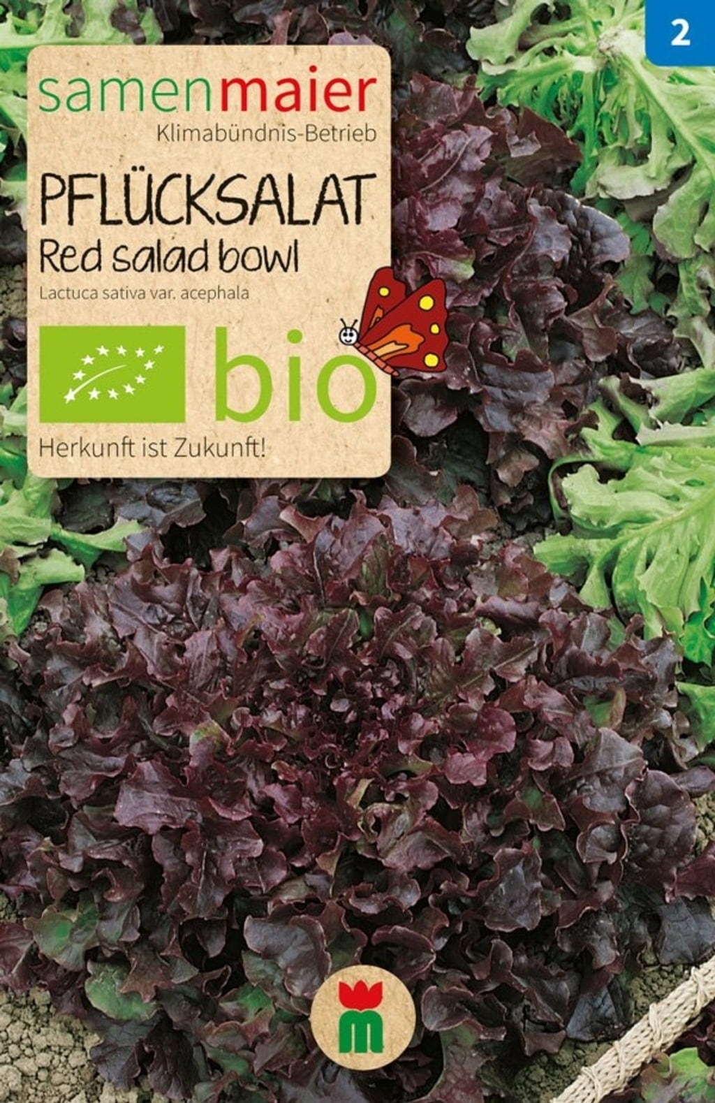 Samen Maier Bio Beet-Box 