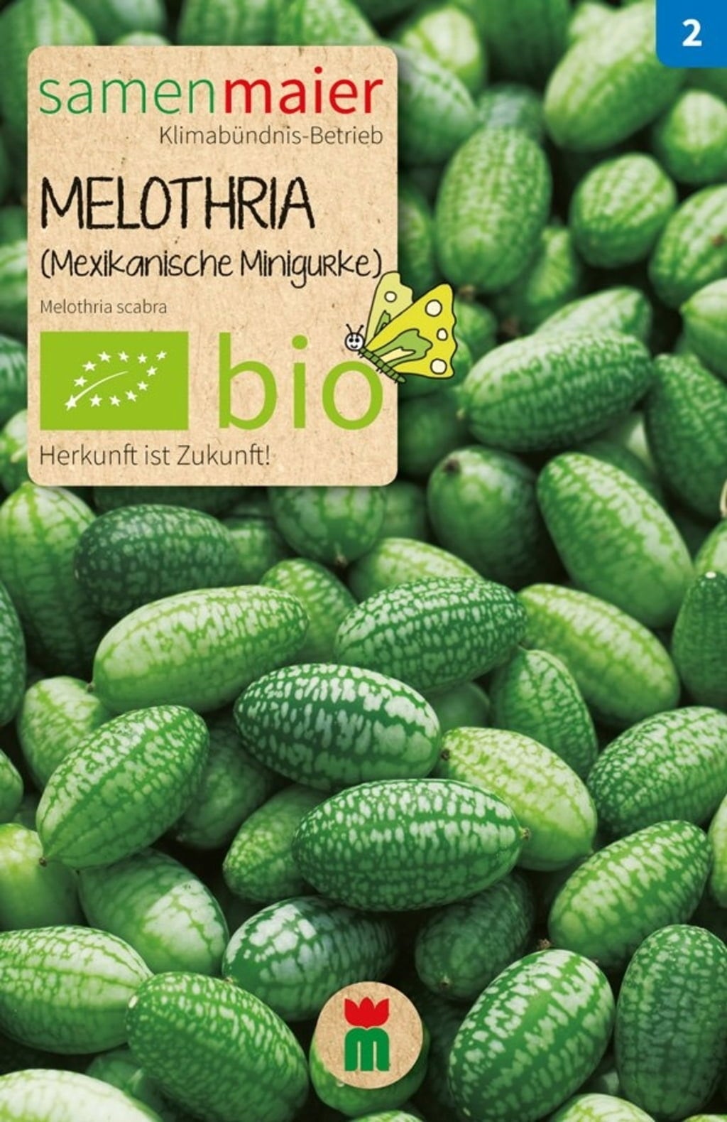 Samen Maier Bio set 