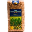 BioKing Épeautre Entier Bio - 1.000 g