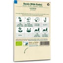 Samen Maier Rucola Bio - Wilde Rauke