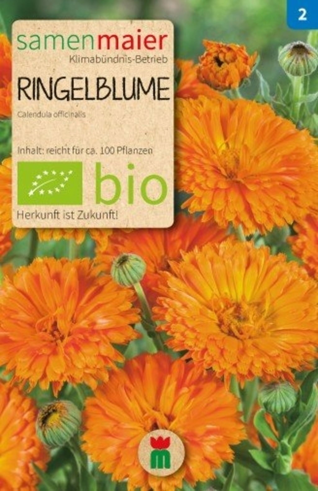 Samen Maier Bio Beet-Box 