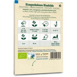 Samen Maier Bio Fadenlose Stangenbohne 